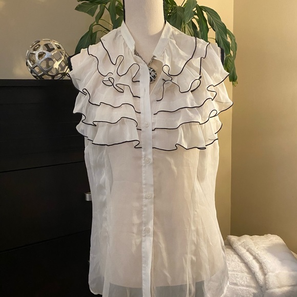 The Limited Sheer Ruffled Blouse - Picture 4 of 10
